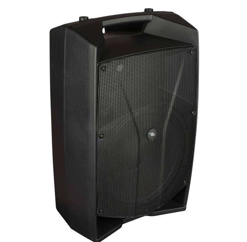 PROEL V15 PRO DSP[PAIR]