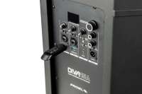  PROEL DIVA 15A[PAIR]
